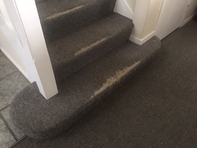 Stairs with warn out carpet
